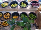 El Mercado de Bayamón - BAYAMÓN